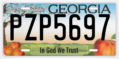 GA license plate PZP5697