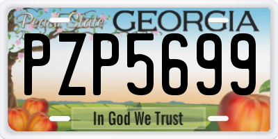 GA license plate PZP5699