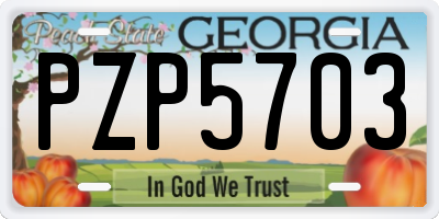 GA license plate PZP5703