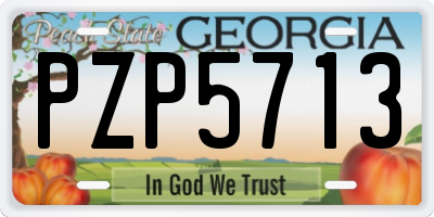 GA license plate PZP5713