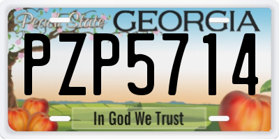 GA license plate PZP5714