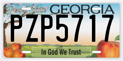 GA license plate PZP5717