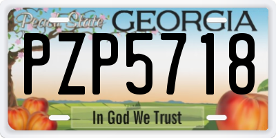 GA license plate PZP5718