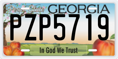 GA license plate PZP5719