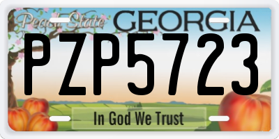 GA license plate PZP5723