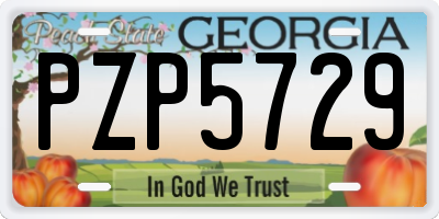 GA license plate PZP5729