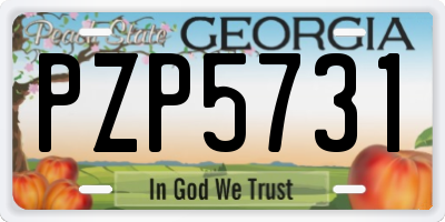 GA license plate PZP5731