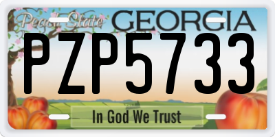GA license plate PZP5733