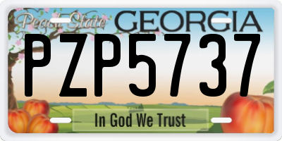 GA license plate PZP5737