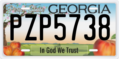 GA license plate PZP5738