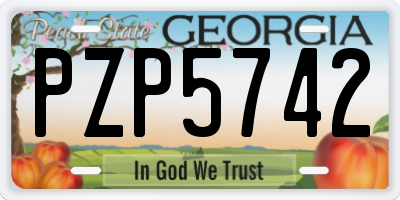 GA license plate PZP5742