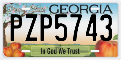 GA license plate PZP5743