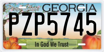 GA license plate PZP5745