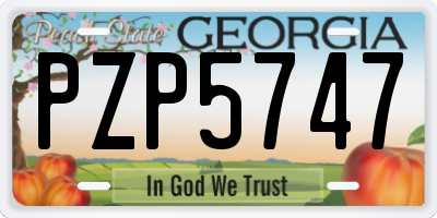 GA license plate PZP5747
