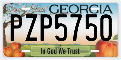 GA license plate PZP5750