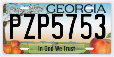 GA license plate PZP5753