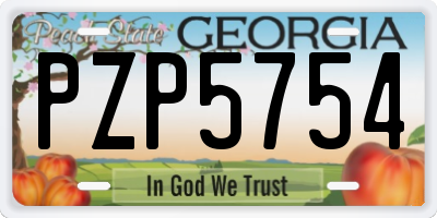GA license plate PZP5754