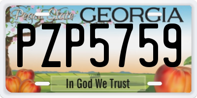 GA license plate PZP5759
