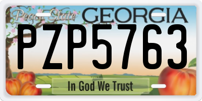 GA license plate PZP5763