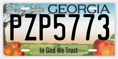 GA license plate PZP5773