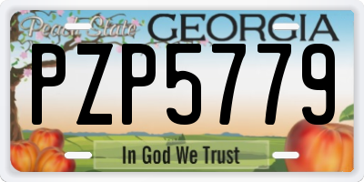 GA license plate PZP5779