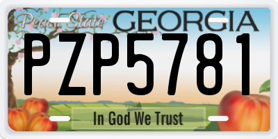 GA license plate PZP5781