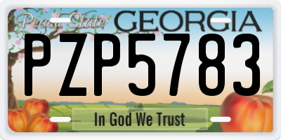 GA license plate PZP5783
