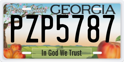GA license plate PZP5787