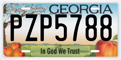 GA license plate PZP5788