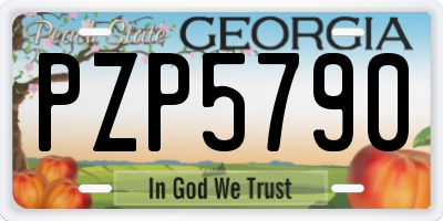 GA license plate PZP5790