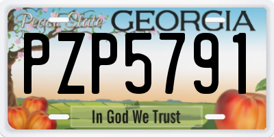 GA license plate PZP5791