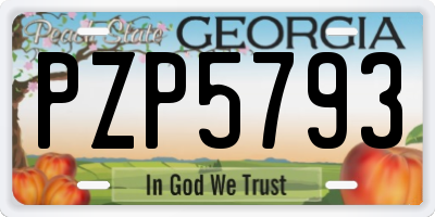 GA license plate PZP5793