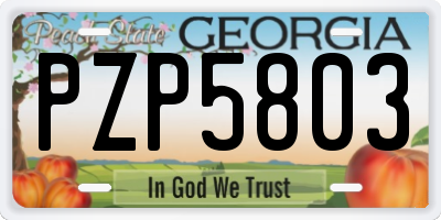 GA license plate PZP5803