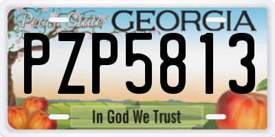 GA license plate PZP5813