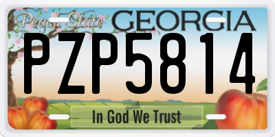 GA license plate PZP5814