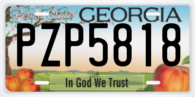 GA license plate PZP5818