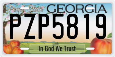 GA license plate PZP5819