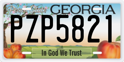 GA license plate PZP5821
