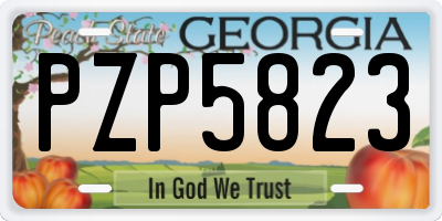 GA license plate PZP5823