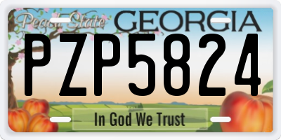 GA license plate PZP5824