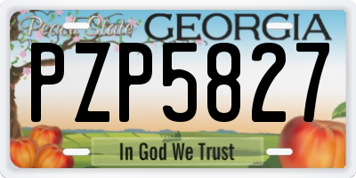 GA license plate PZP5827