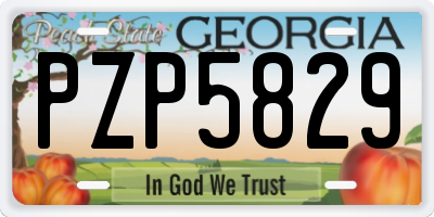 GA license plate PZP5829