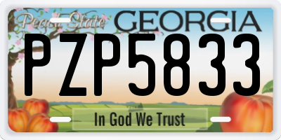 GA license plate PZP5833