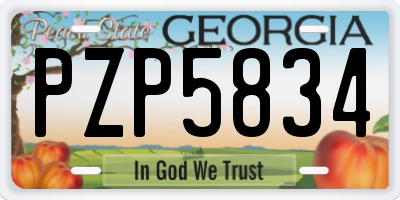 GA license plate PZP5834