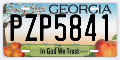 GA license plate PZP5841