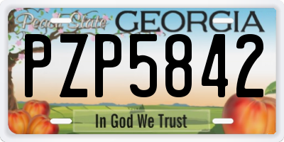 GA license plate PZP5842