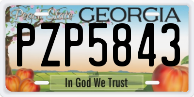 GA license plate PZP5843