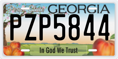 GA license plate PZP5844