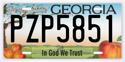 GA license plate PZP5851