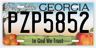 GA license plate PZP5852